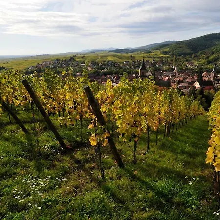 The One Apartment Ribeauville (Haut-Rhin)