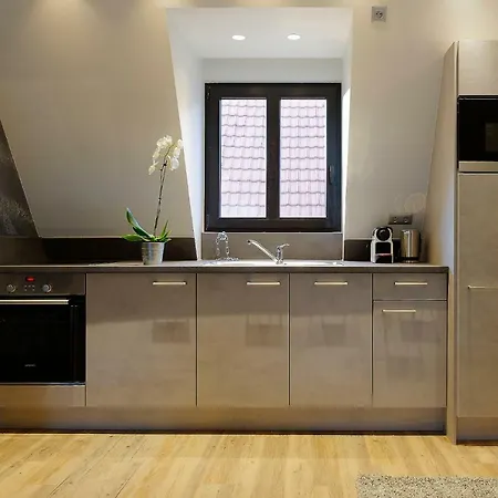 The One Apartment Ribeauvillé