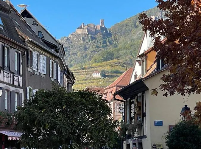 Appartement The One Ribeauvillé