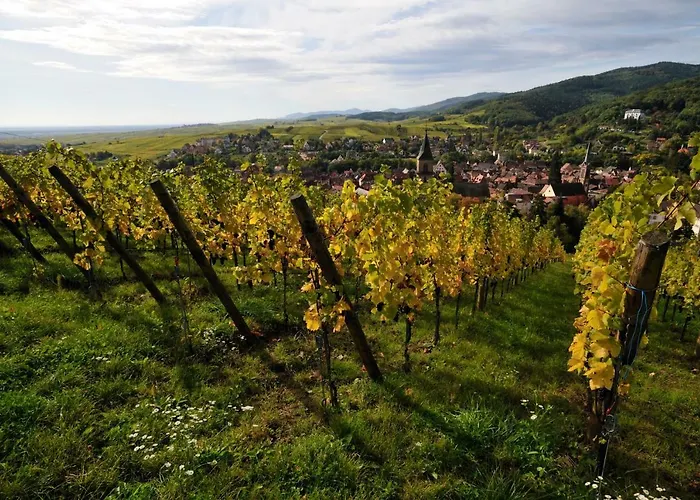 The One Appartement Ribeauvillé