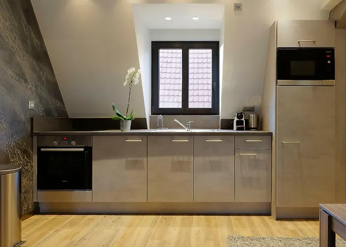 The One Appartement Ribeauvillé